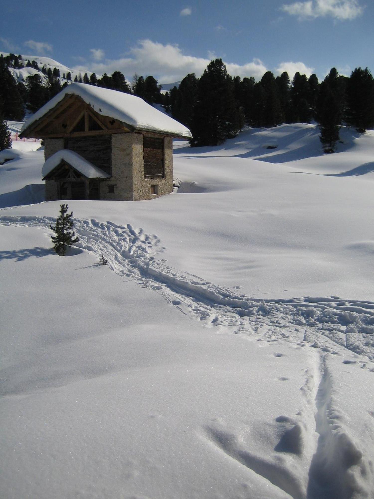 סלבה די ואל גרדנה Chalet Elisabeth Dolomites Alpin & Charme מראה חיצוני תמונה