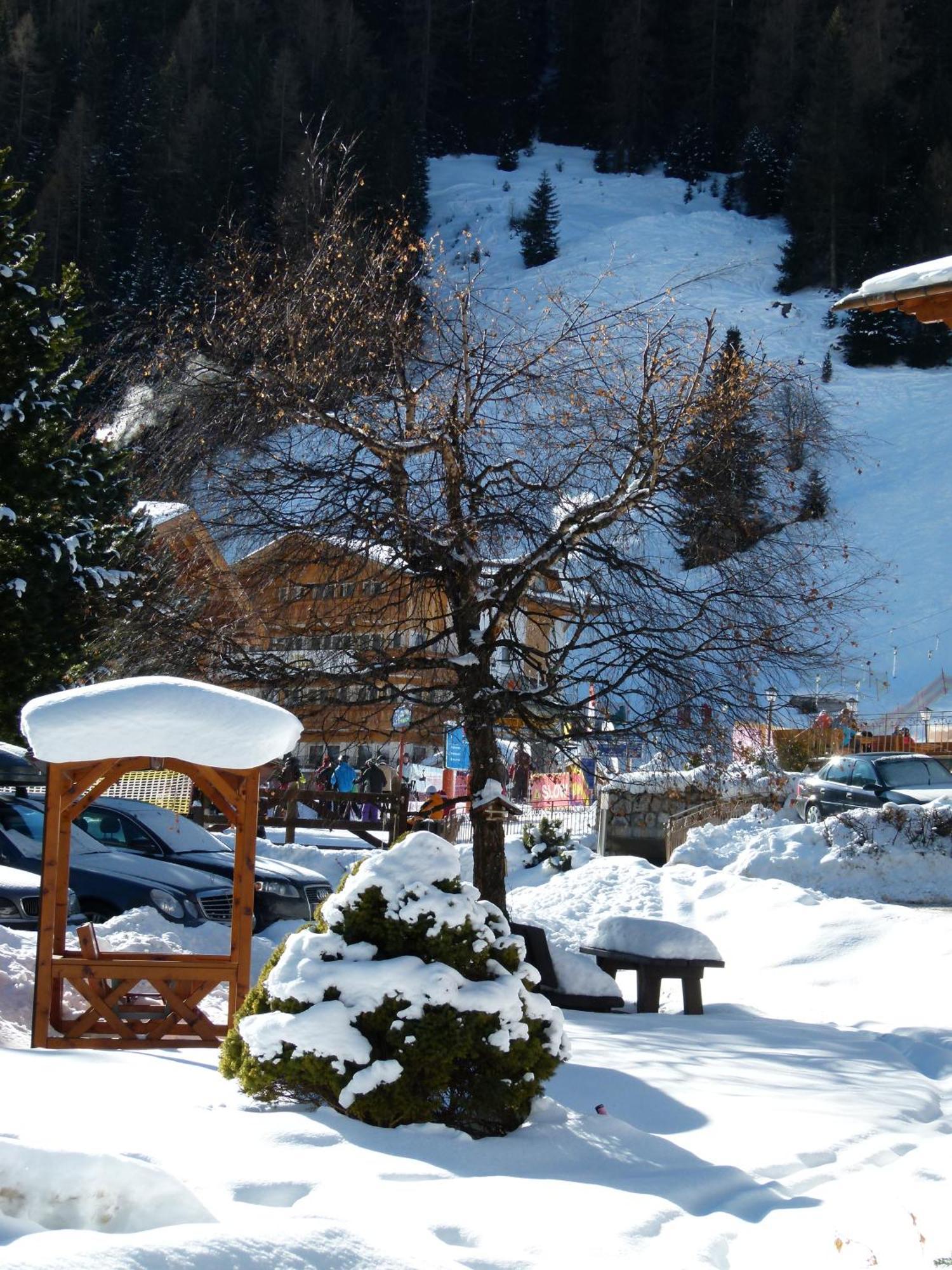 מלון סלבה די ואל גרדנה Chalet Elisabeth Dolomites Alpin & Charme מראה חיצוני תמונה