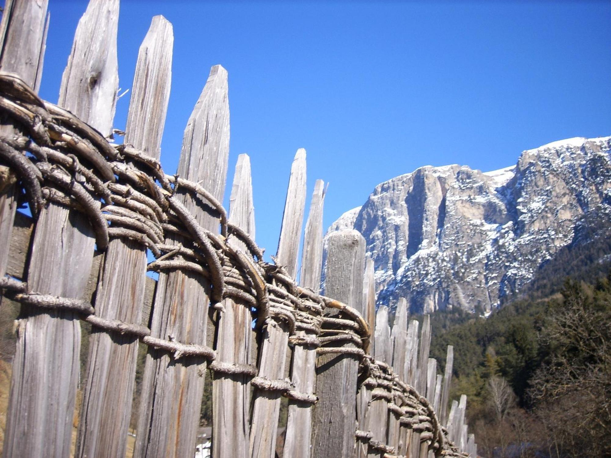 סלבה די ואל גרדנה Chalet Elisabeth Dolomites Alpin & Charme מראה חיצוני תמונה
